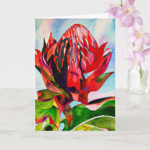 Waratah Australian native flower watercolor Karte