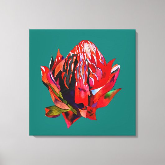 Waratah Australian native flower watercolor Leinwanddruck (Vorderseite)
