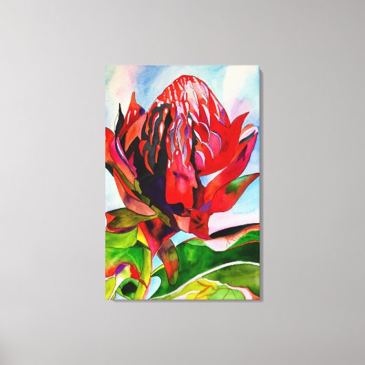 Waratah Australian native flower watercolor Leinwanddruck (Vorderseite)