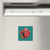 Waratah Australian native flower watercolor Magnet (In Situ (Geschirrspüler))