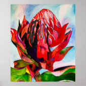 Waratah Australian native flower watercolor Poster (Vorne)