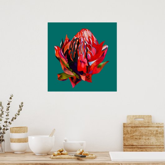 Waratah Australian native flower watercolor Poster (Küche)