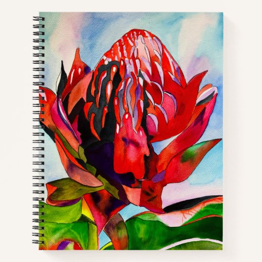 Waratah Australische Blume Aquarell Notizblock (Vorderseite)