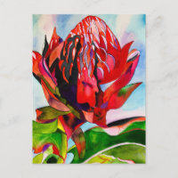 Waratah Australische Blume Aquarell