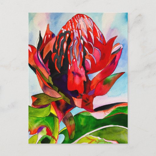Waratah Australische Blume Aquarell Postkarte (Vorderseite)