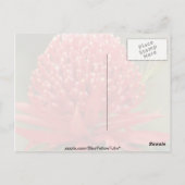Waratah in Blüte, Australien Blume Postkarte (Rückseite)