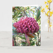 waratah karte (Gelbe Blume)