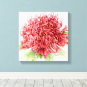 Waratah Red Blume botanica art Leinwanddruck (Insitu (Holzboden))