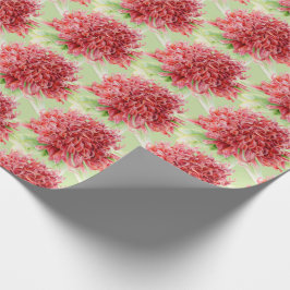 Waratah Rotbotanica Aquarellkunst Geschenkpapier