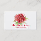 Waratah rote Blumenkunstbauernhof-Geschäftskarte Visitenkarte (Vorderseite)