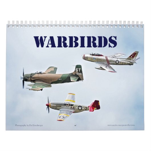 Warbirds Wandkalender (Titelbild)