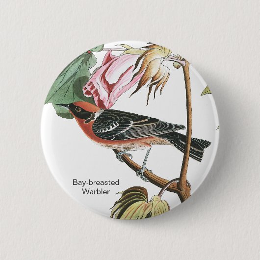 Warbler, Audubon, Wood Warbler, Bird Button (Vorderseite)