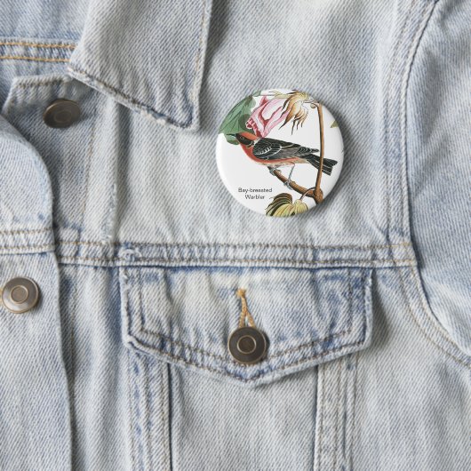 Warbler, Audubon, Wood Warbler, Bird Button (Beispiel)