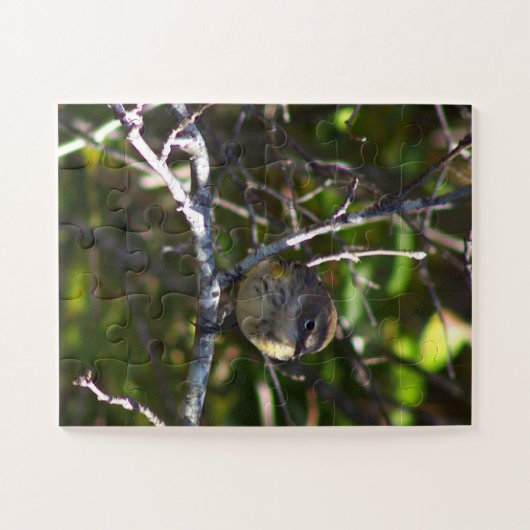 Warbler Bird Photo Puzzle (Horizontal)