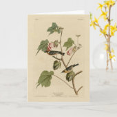 Warbler-Brüste - Audubons Vögel in Amerika Karte (Gelbe Blume)