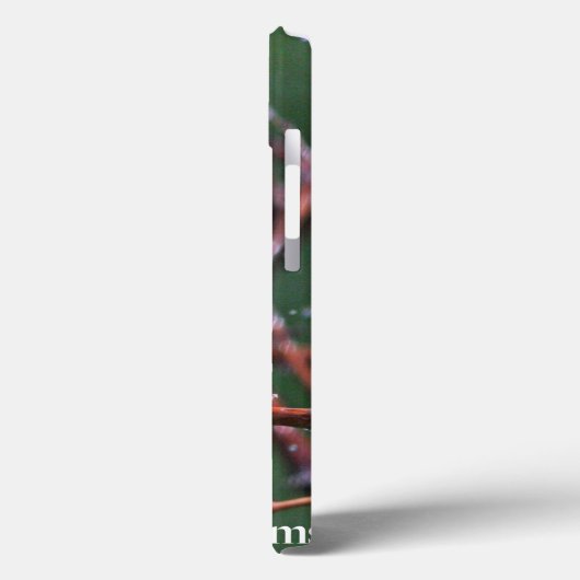 Warbler Case-Mate iPhone Hülle (Rückseite / Links)