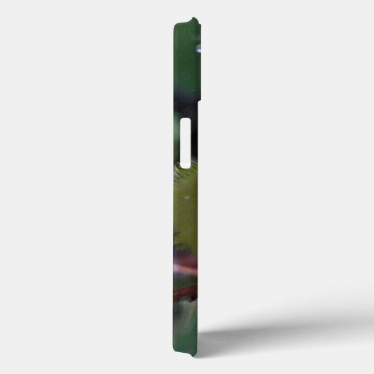 Warbler Case-Mate iPhone Hülle (Rückseite / Rechts)