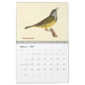 Warbler Collection #1 Lithographien von Vögeln von Kalender (Feb 2027)