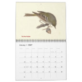 Warbler Collection #1 Lithographien von Vögeln von Kalender (Jan 2027)