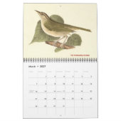 Warbler Collection #1 Lithographien von Vögeln von Kalender (Mär 2027)