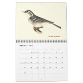 Warbler Collection #2 Lithographien von Vögeln von Kalender (Feb 2027)