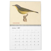 Warbler Collection #2 Lithographien von Vögeln von Kalender (Jan 2027)