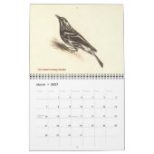 Warbler Collection #2 Lithographien von Vögeln von Kalender (Mär 2027)