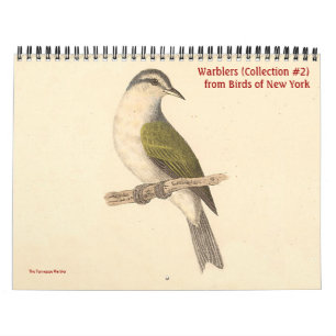 Warbler Collection #2 Lithographien von Vögeln von Kalender