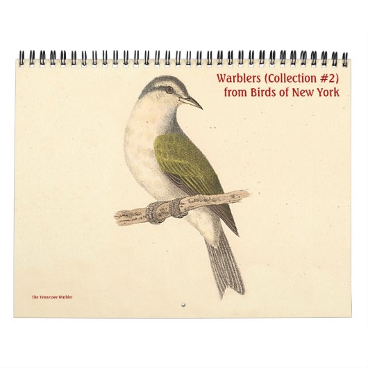 Warbler Collection #2 Lithographien von Vögeln von Kalender (Titelbild)