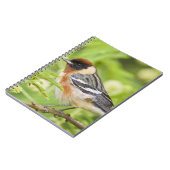 Warbler (Dendroica castanea) Notizblock (Linke Seite)