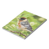 Warbler (Dendroica castanea) Notizblock (Rotiert)