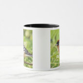 Warbler (Dendroica castanea) Tasse (Zentrum)