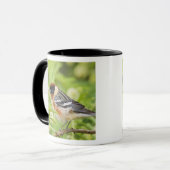 Warbler (Dendroica castanea) Tasse (Vorderseite Links)