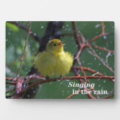 Warbler Fotoplatte (Vorderseite)