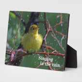 Warbler Fotoplatte (Seite)