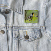 Warbler, Gelbwurzel, Dendroica Button (Beispiel)