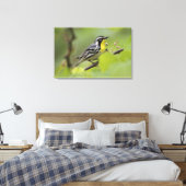 Warbler, Gelbwurzel, Dendroica Leinwanddruck (Insitu (Schlafzimmer))