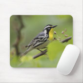 Warbler, Gelbwurzel, Dendroica Mousepad (Mit Mouse)