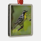 Warbler, Gelbwurzel, Dendroica Ornament Aus Metall (Rechts)