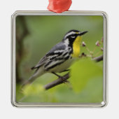 Warbler, Gelbwurzel, Dendroica Ornament Aus Metall (Vorne)