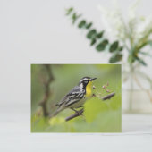 Warbler, Gelbwurzel, Dendroica Postkarte (Stehend Vorderseite)