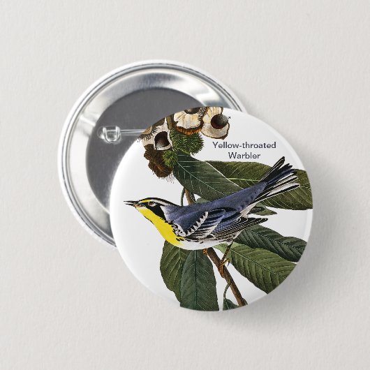 Warbler, John James Audubon, Bird Button (Vorne & Hinten)