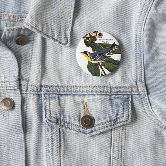 Warbler, John James Audubon, Bird Button (Beispiel)