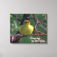 Warbler