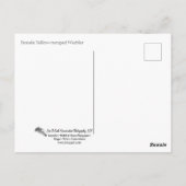 Warbler Postkarte (Rückseite)