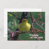Warbler Postkarte (Vorne/Hinten)