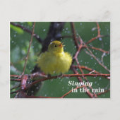 Warbler Postkarte (Vorderseite)