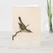 Warbler Reed Wren | William Lewin Karte (Vorderseite)