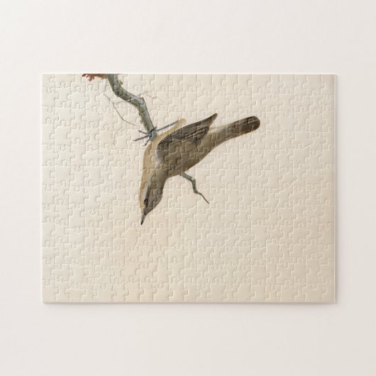 Warbler Reed Wren | William Lewin Puzzle (Horizontal)