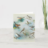 Warbler und Wrens Karte (Vorderseite)